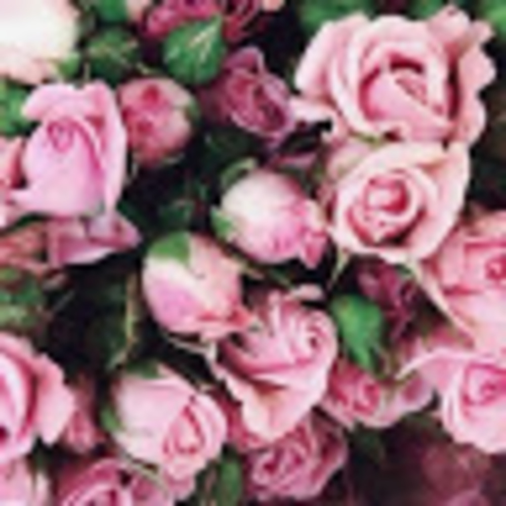 Meet your Posher, Makena